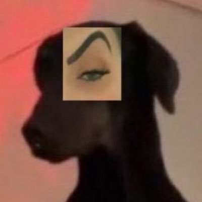 Ariannah_2008's profile picture. 22 y/o…  don’t post much