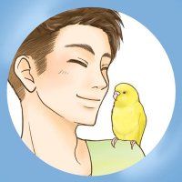 まるけパパ｜インコまるけ (@inko_maruke) 's Twitter Profile