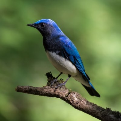 名古屋近郊にて個撮モデル(ヌードモデル)さまを募集しております。写真のみの撮影で、接触はありません。顔出し無しでもOKです。お気軽にご連絡ください。 #名古屋 #個撮 #個撮モデル #同人モデル #フェチモデル #短期バイト #高収入バイト 作例はこちらでも→@kp44517152 フォトブック発売しました⤵︎