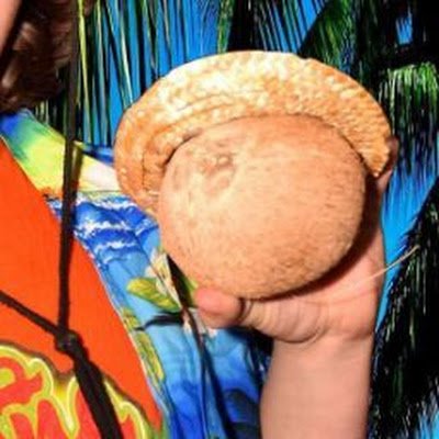 EugeneDaCoconut's profile picture. General Manager of Top Flight Wrestling EFED and BFF to Vito Veleno