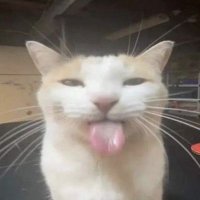 🦦 chascarrillos fucking gaming !!? (@chacha_ooc) 's Twitter Profile