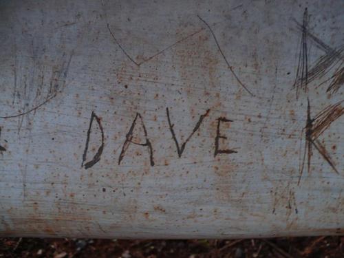 theoriginalpean's profile picture. 