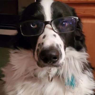 RyleighDeland's profile picture. embrace your weirdness