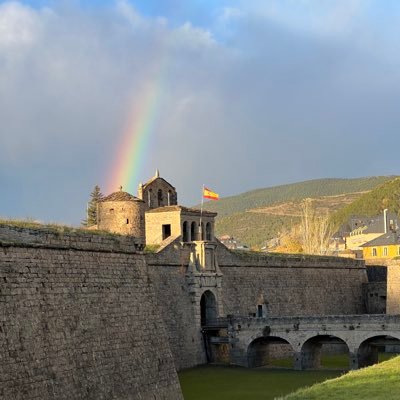 mteresa50's profile picture. 