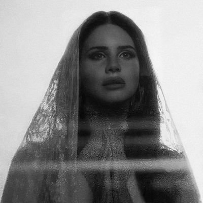 liss__ross's profile picture. 