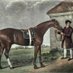 Horseracing Fan (@horseracingfanz) Twitter profile photo Horseracing Fan (@horseracingfanz) Twitter profile photo