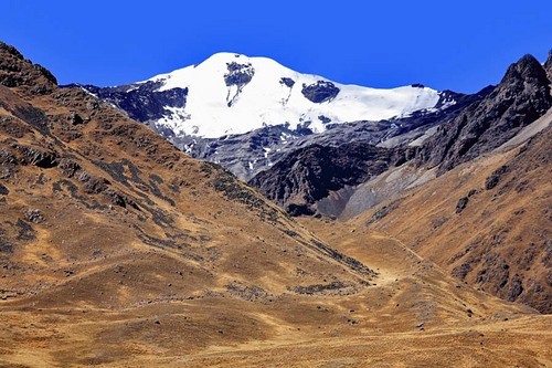 gcm Profile