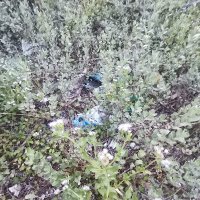 Nguyen Kim Hong ❤️ Memecoin (@nguyenkimhong19) 's Twitter Profile