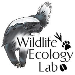 Wildlife Ecology Lab @MandelaUni | Applied research | Carnivore ecology 🦁🐆 | Snapshot Safari: South Africa 🇿🇦📸 | Ungulate ecology 🐘🦏 | Honours, MSc & PhD