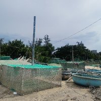 Tran thi Nhung ❤️ Memecoin (@tranthi20238525) 's Twitter Profile