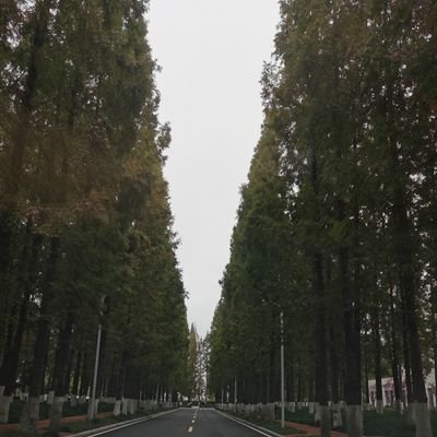 hf202318's profile picture. 