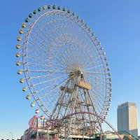 情報用 (@kpkp_95) 's Twitter Profile