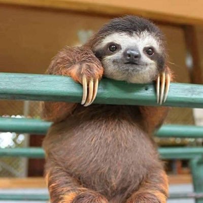 elnabuko's profile picture. 🇸🇰 🇪🇺☯️🇬🇪🇮🇱🇺🇦