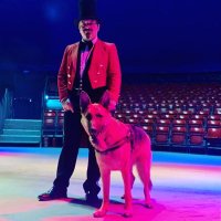 Rufus Allan (@rufustf) 's Twitter Profile
