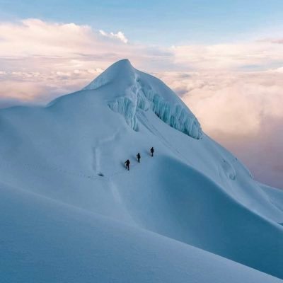 hggsvdgd's profile picture. 