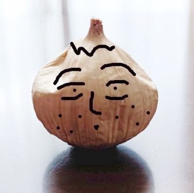 日記と読書の備忘録/海も良いけど どっちかというと山が良き/周りに本好きが居なくて悲しい/読書好きに理系も文系も無いと思う/恐る恐るSNS