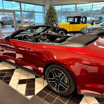 watchdogdave's profile picture. Father/Grandfather/Volunteer/Tadpole Trike Biker/Mustang Lover/IBEW Member