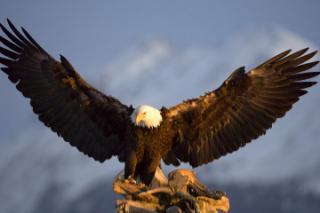 bindasbolyaar's profile picture. 