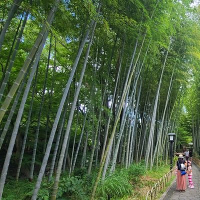 神奈川在住の40代釣り好きサラリーマンです。主に船釣りボート釣りやってます。釣り友の輪を拡げたいです。皆さま宜しくお願いします❗