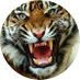 BigTrumper (@paulavena) Twitter profile photo BigTrumper (@paulavena) Twitter profile photo