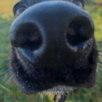 HaggisHaggis26 (@hhaggis26) 's Twitter Profile