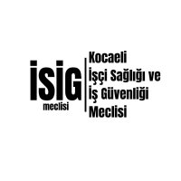 Kocaeli İşçi Sağlığı ve İş Güvenliği Meclisi (@kocaeliisig) 's Twitter Profile Photo