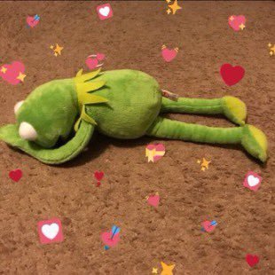 urzua_pame's profile picture. don't followme