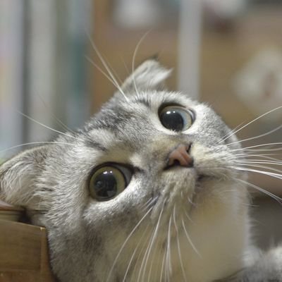 ゆづきさんのプロフィール画像