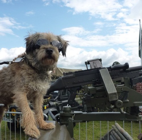 Suelr80's profile picture. 