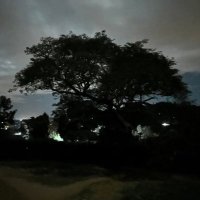 Andrew (@elite_drew) 's Twitter Profile