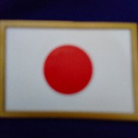 地球は回っていないー日本の中立国化に邁進するー (@mrym24enzzddibn) Twitter profile photo