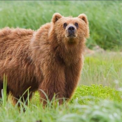 moses569690667's profile picture. Reading stuff