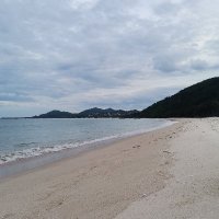 Hong Tran ❤️ Memecoin (@hongtra147) 's Twitter Profile