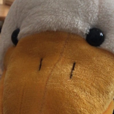 QoffFa3's profile picture. 