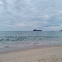 Thanh Tran ❤️ Memecoin (@thanhtr283) 's Twitter Profile