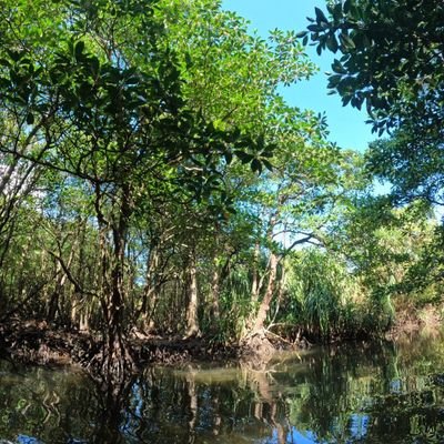 旅行に行ったり、古き良き時代のもの、自然、景色に癒されるのが好きです。
写真はスマホのみですが、日常でみつけたキレイや癒しを撮ったりしてます。

素人なので色々わからないこともあり失礼があったらすみません😰

キングダムも大好きです❤

DMは🆖でお願いします🙇