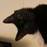 RiskObscurity's profile picture. Hello.