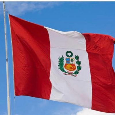 Constitución del 93, Pro familia, Pro vida , que la Virgen Cubra con Su Manto al Peru, la LUZ ya ganó!!🙏🏼