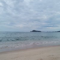 Phu Tran ❤️ Memecoin (@phutran454) 's Twitter Profile
