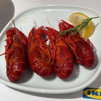 8080_kotoseki's profile picture. ゴリラのファミコン