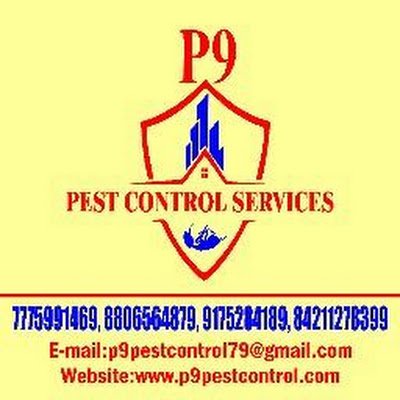 P9pestcontrols1's profile picture. 