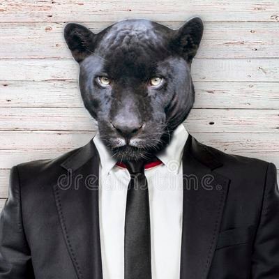 blackpantherrev Profile Picture