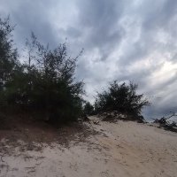 Huynh Pham ❤️ Memecoin (@huynhph585) 's Twitter Profile