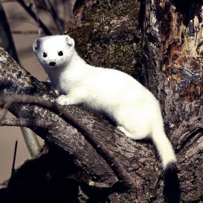 Yu86179173's profile picture. 