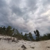 Hai Nguyen ❤️ Memecoin (@hainguy824) 's Twitter Profile