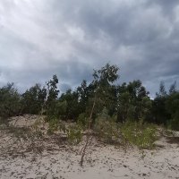 Quoc Tran ❤️ Memecoin (@quoctra999) 's Twitter Profile