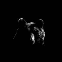 Gateash/گتیاش (@gateash_the_ash) 's Twitter Profile