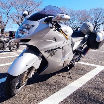 BananaBoat_14's profile picture. CBR1100XX