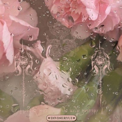 Typhoon18865290's profile picture. 200x