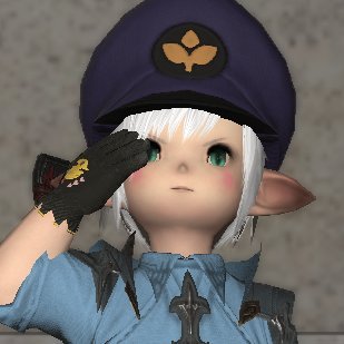 FF14用